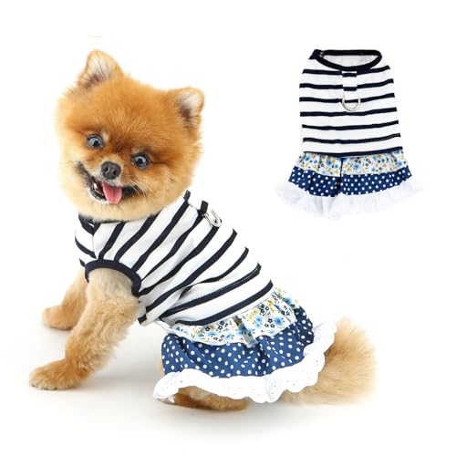 PAIDEFUL Niedliches Kleid für kleine Hunde, gestreift, Prinzessinnen-Hemd mit Punktemuster, Spitze, leicht, atmungsaktiv, Sommerkleidung für Hunde, weiche Anzüge für Welpen, Katzenkleidung PAIDEFUL Niedliches Kleid für kleine Hunde, gestreift, Prinzessinnen-Hemd mit Punktemuster, Spitze, leicht, atmungsaktiv, Sommerkleidung für Hunde, weiche Anzüge für Welpen, Katzenkleidung von PAIDEFUL