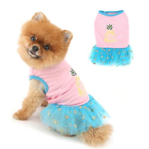 PAIDEFUL Niedliches Tutu-Kleid für kleine Hunde, weicher Tüllrock, leicht, atmungsaktiv, Sommer-Thema, Welpen, Chihuahua, Yorkie, Katzenkleidung, Rosa, Größe XS PAIDEFUL Niedliches Tutu-Kleid für kleine Hunde, weicher Tüllrock, leicht, atmungsaktiv, Sommer-Thema, Welpen, Chihuahua, Yorkie, Katzenkleidung, Rosa, Größe XS von PAIDEFUL