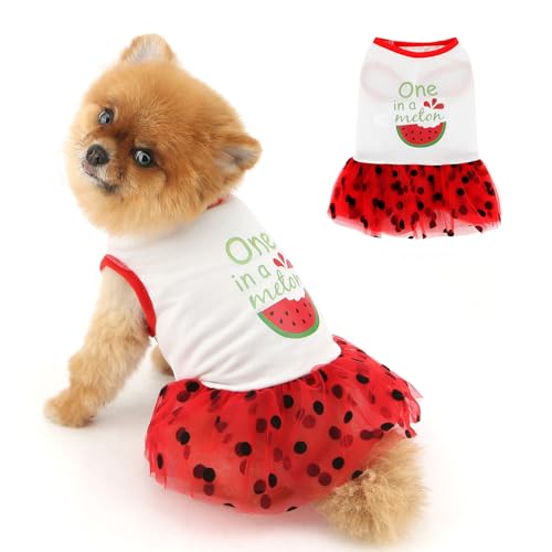 PAIDEFUL Niedliches Tutu-Kleid für kleine Hunde, weicher Tüllrock, leicht, atmungsaktiv, Sommer-Thema, Welpen, Chihuahua, Yorkie, Katzenkleidung, Weiß, Größe S PAIDEFUL Niedliches Tutu-Kleid für kleine Hunde, weicher Tüllrock, leicht, atmungsaktiv, Sommer-Thema, Welpen, Chihuahua, Yorkie, Katzenkleidung, Weiß, Größe S von PAIDEFUL
