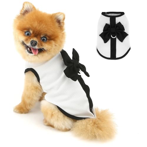 PAIDEFUL Süßes Hunde-Prinzessinnenkleid für kleine Hunde, Schleife, Welpen, Tüllrock, Sommer, Hund, atmungsaktiv, weich, leicht, Haustierweste, Sommerkleid, Valentinstag, Katze, Chihuahua, D-Ring von PAIDEFUL
