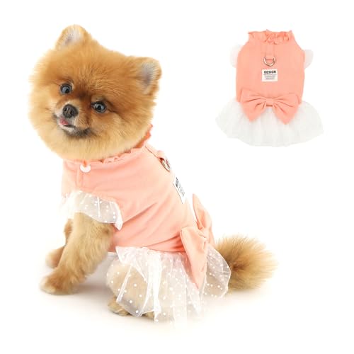 PAIDEFUL Süßes Spitzen-Hundekleid für kleine Hunde, Schleife, Prinzessinnenkleid, niedlicher Hund, Tüllrock, weich, atmungsaktiv, für Welpen, Sommer, Sommerkleid, Katze, Geburtstag, Kleidung PAIDEFUL Süßes Spitzen-Hundekleid für kleine Hunde, Schleife, Prinzessinnenkleid, niedlicher Hund, Tüllrock, weich, atmungsaktiv, für Welpen, Sommer, Sommerkleid, Katze, Geburtstag, Kleidung von PAIDEFUL