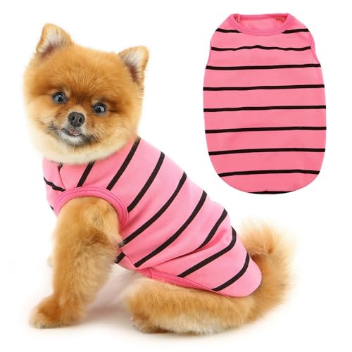 PAIDEFUL T-Shirt für kleine Hunde, Sommer, Hundekleidung, gestreift, weich, atmungsaktiv, ärmellos, leichtes Katzen-T-Shirt, Chihuahua, Yorkies, Rosa, Größe XS von PAIDEFUL