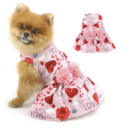PAIDEFUL Valentinstagskleid für kleine Hunde, bezaubernd, bedruckt, Prinzessinnenrock, niedliches Hundekostüm mit Blumenmuster, weich, leicht, Welpen, Chihuahua, Katze, Herz, Größe L PAIDEFUL Valentinstagskleid für kleine Hunde, bezaubernd, bedruckt, Prinzessinnenrock, niedliches Hundekostüm mit Blumenmuster, weich, leicht, Welpen, Chihuahua, Katze, Herz, Größe L von PAIDEFUL