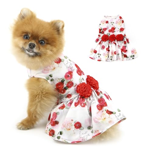 PAIDEFUL Valentinstagskleid für kleine Hunde, bezaubernder bedruckter Haustier-Prinzessinnenrock, niedliches Hundekostüm mit Blumenmuster, weich, leicht, Welpen, Chihuahua, Katzenkleidung, Rose, Größe von PAIDEFUL