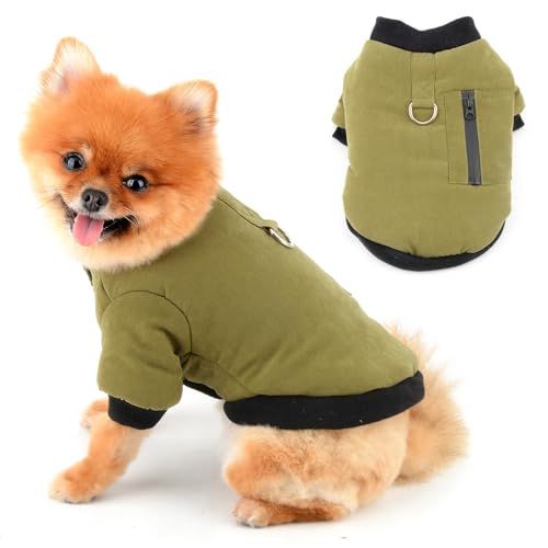 PAIDEFUL Warme Jacke für kleine Hunde, mit Fleece gefüttert, mit Reißverschlusstasche, dick, winddicht, mit Knopfleiste, für Herbst und Winter, Chihuahua, Kleidung, Katzenbekleidung, D-Ring, Grün, von PAIDEFUL