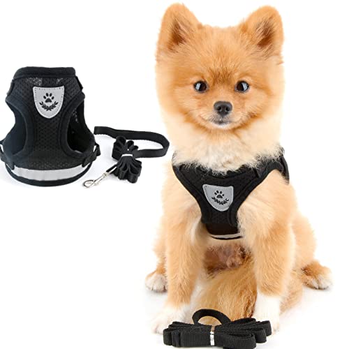 PAIDEFUL Weiches Mesh-Geschirr für kleine Hunde Reflektierend Step-in Fluchtsichere Katzen Gepolsterte Weste für Welpen Mädchen Jungen Verstellbare Leine für Kätzchen Walking Chihuahua Yorkie von PAIDEFUL