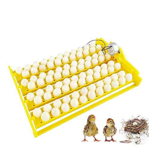 Eierbrüter Automatischer 88 Kunststoff Ei Huhn Schlüpfmaschine Inkubator mit 220 V Automatischer Drehmotor von PAIDUOJI