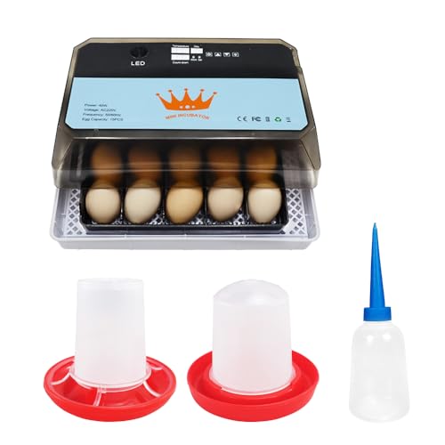 PAIDUOJI Home Use 9 Eier Inkubator Automatische Temperaturregelung Digitale Mini-Eierbrut Automatische Temperaturregelung Brut für Hühner, Enten, Vögel (HT-15eggs) von PAIDUOJI