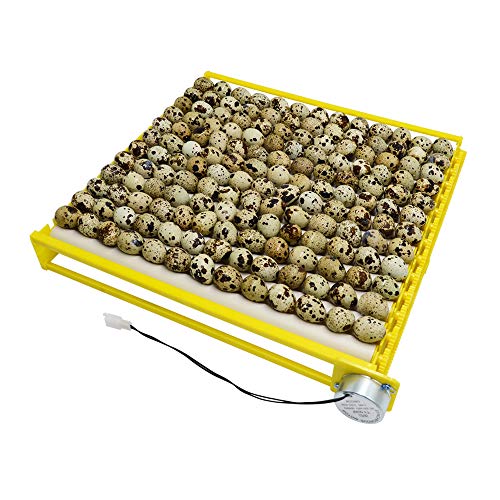 PAIDUOJI Inkubator Roller Tray Wachtelhuhn (13 Tuben - 220 V) von PAIDUOJI
