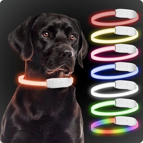 PAJ GPS - PAJ Light - stark leuchtendes Leuchthalsband für Hunde & Katzen Aller Größen - individuelle Länge 20-70cm - 100% Wasserfest - 7 Verschiedene Farbmodi - Sichtbarkeit & Sicherheit bei Nacht PAJ GPS - PAJ Light - stark leuchtendes Leuchthalsband für Hunde & Katzen Aller Größen - individuelle Länge 20-70cm - 100% Wasserfest - 7 Verschiedene Farbmodi - Sichtbarkeit & Sicherheit bei Nacht von PAJ GPS