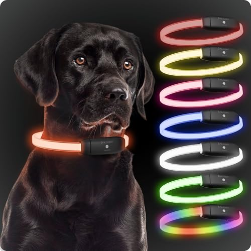 PAJ GPS - PAJ Light - stark leuchtendes Leuchthalsband für Hunde & Katzen Aller Größen - individuelle Länge 20-70cm - 100% Wasserfest - 7 Verschiedene Farbmodi - Sichtbarkeit & Sicherheit bei Nacht. PAJ GPS - PAJ Light - stark leuchtendes Leuchthalsband für Hunde & Katzen Aller Größen - individuelle Länge 20-70cm - 100% Wasserfest - 7 Verschiedene Farbmodi - Sichtbarkeit & Sicherheit bei Nacht. von PAJ GPS
