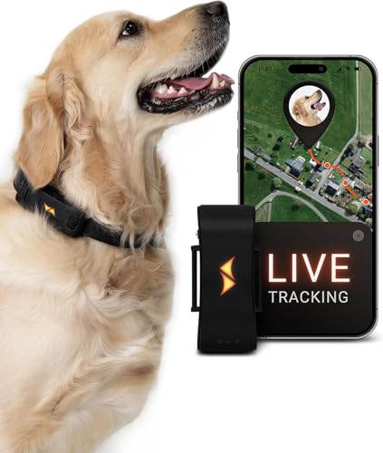 PAJ GPS Tracker für Hunde 4G - Weglaufalarme + weltweite Live-Ortung - bis zu 10 Tage Akkusparmodus - Hunderückruf - 100% Wasserdicht (IP67) - mit Leucht-LEDs - passt an jedes Halsband - schwarz von PAJ GPS
