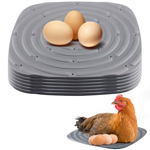 PAMENET Packung mit 8 waschbaren Hühnerpads für Eier, Futter für Hühnerstall, wiederverwendbar, für Hühner, von PAMENET