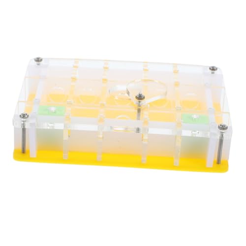 PAMINGONO Beobachtungsnistkasten Aus Acryl Für Haustierameisen Leicht Und Tragbar Für Zu Hause Oder Das Klassenzimmer PAMINGONO Beobachtungsnistkasten Aus Acryl Für Haustierameisen Leicht Und Tragbar Für Zu Hause Oder Das Klassenzimmer von PAMINGONO