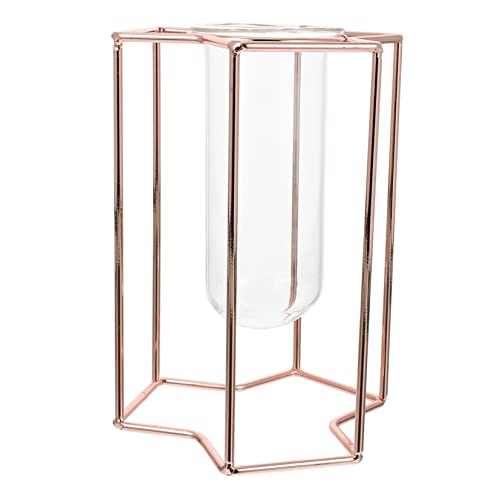 PAMINGONO 1stk Hydroponische Glasvase Grüner Pflanzer Grüne Vase Rohr Pflanzenhalter Dekorpflanzen Klare Pflanzentöpfe Reagenzglas-pflanzgefäß Zum Aufhängen Hängender Blumentopf Eisen Golden PAMINGONO 1stk Hydroponische Glasvase Grüner Pflanzer Grüne Vase Rohr Pflanzenhalter Dekorpflanzen Klare Pflanzentöpfe Reagenzglas-pflanzgefäß Zum Aufhängen Hängender Blumentopf Eisen Golden von PAMINGONO