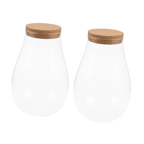 PAMINGONO 2 Stück Hydrokulturpflanzen Moosflasche Moospflanzenflasche Tischschmuck Landschaftsflasche Terrarium Glaspflanzflasche Mit Korken Dekorative Flasche Landschaftsbehälter PAMINGONO 2 Stück Hydrokulturpflanzen Moosflasche Moospflanzenflasche Tischschmuck Landschaftsflasche Terrarium Glaspflanzflasche Mit Korken Dekorative Flasche Landschaftsbehälter von PAMINGONO