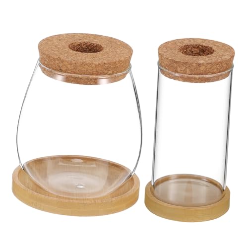 PAMINGONO 2 Stück Hydroponische Glas Pflanzenvasen mit Korkdeckel und Pflanzenterrarium mit Ablage für Sukkulenten Luftpflanzen Mini gärten Transparente Vermehrungstöpfe Pflegeleicht von PAMINGONO