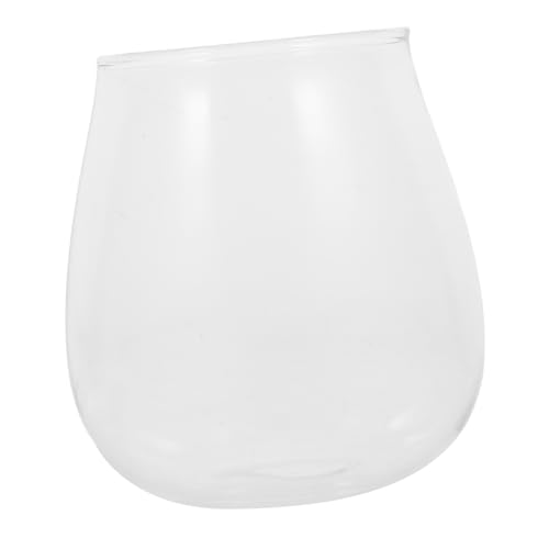 PAMINGONO Mikro Landschaftspflanzen Terrarium Glaspflanzer Leere Terrarium Pflanzflasche Mikro Landschaftsflasche Hydroponische Vase Pflanzenflasche Mikro Landschaft DIY Flasche von PAMINGONO