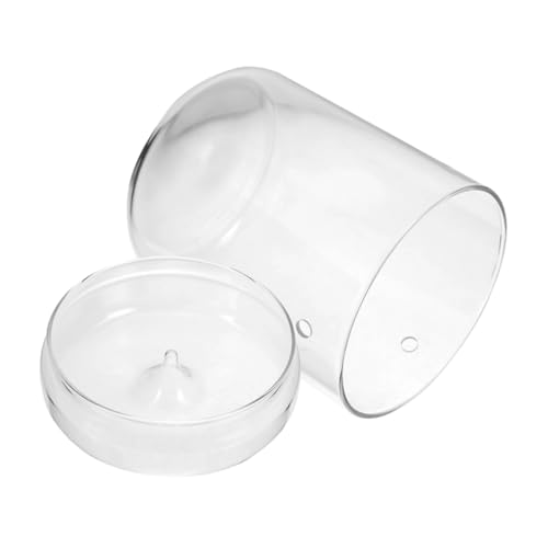 PAMINGONO Glas Moos Terrarium Vase Anlage Deckel Multi-funktionale Dekorative Flasche PAMINGONO Glas Moos Terrarium Vase Anlage Deckel Multi-funktionale Dekorative Flasche von PAMINGONO