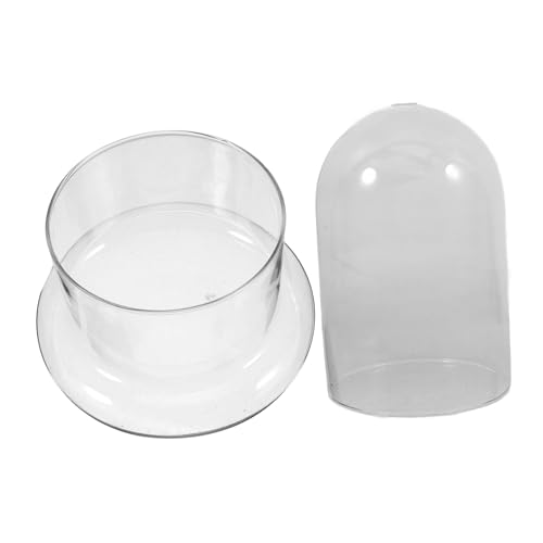 PAMINGONO Öko-Flasche Landschaft Glas Terrarium Wassersparende Dekorative Pflanze Container PAMINGONO Öko-Flasche Landschaft Glas Terrarium Wassersparende Dekorative Pflanze Container von PAMINGONO