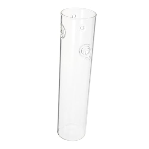 PAMINGONO Transparente Hängende Wandvase aus für Hydroponik Pflanzenhalter Platzsparend Modernes Design für Wohnzimmer Büro und Tischdekoration von PAMINGONO