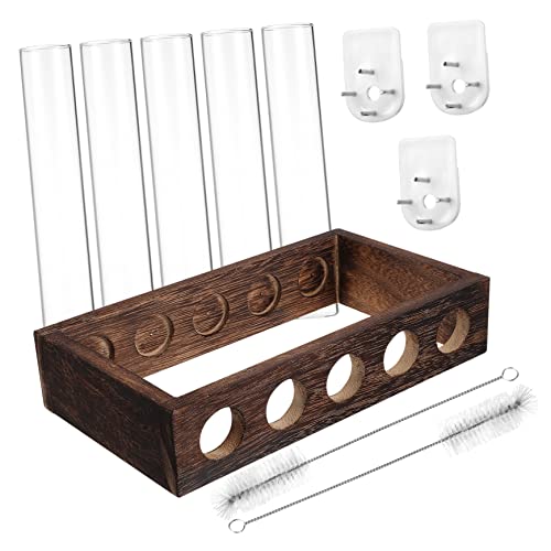 PAMINGONO Hängendes Anzuchtstation-Set 5 Pflanzgefäße aus Glas Reagenzglas Holzregal Reinigungsbürste für das Home Office PAMINGONO Hängendes Anzuchtstation-Set 5 Pflanzgefäße aus Glas Reagenzglas Holzregal Reinigungsbürste für das Home Office von PAMINGONO
