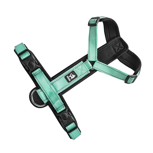 Halsband, Geschirr, Leine, verstellbar, Nylon, für Haustiere, Traktionsseil, Halsband, Zubehör für Haustiere Halsband, Geschirr, Leine, verstellbar, Nylon, für Haustiere, Traktionsseil, Halsband, Zubehör für Haustiere von PANHDK