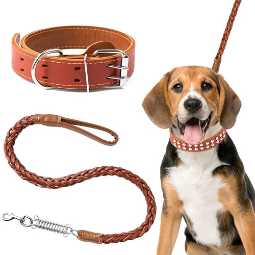PANTIDE Hundeleine und Halsband aus Leder, verstellbar, gepolstert, mit Metallschnalle, Niete für mittelgroße Haustiere, langlebig, weich, passende Hundeleine mit Federkissen, für Training, Spielen von PANTIDE