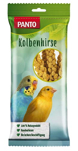 PANTO Kolbenhirse – naturbelassener Knabberspaß für Ziervögel – handverlesenes Vogelfutter zur Beschäftigung von Wellensittichen, Papageien, Kanarienvögel – 100 g von PANTO