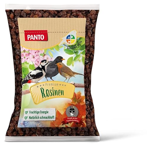 PANTO Wildvogelfutter Rosinen 10 x 1 kg – energiereiches Vogelfutter für Futterhaus & Futterspender, für Körner- und Weichfresser von PANTO