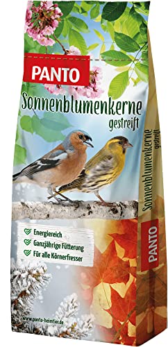 PANTO® Wildvogelfutter, Sonnenblumenkerne 20 kg, 1er Pack (1 x 20 kg) von PANTO