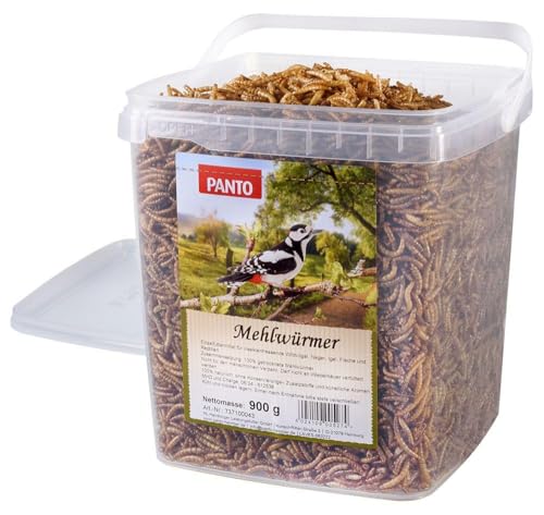 PANTO Mehlwürmer – 2 x 900 g proteinhaltiges Wildvogelfutter, getrocknete Mehlwürmer für Wildvögel, Nager, Igel, Geflügel PANTO Mehlwürmer – 2 x 900 g proteinhaltiges Wildvogelfutter, getrocknete Mehlwürmer für Wildvögel, Nager, Igel, Geflügel von PANTO