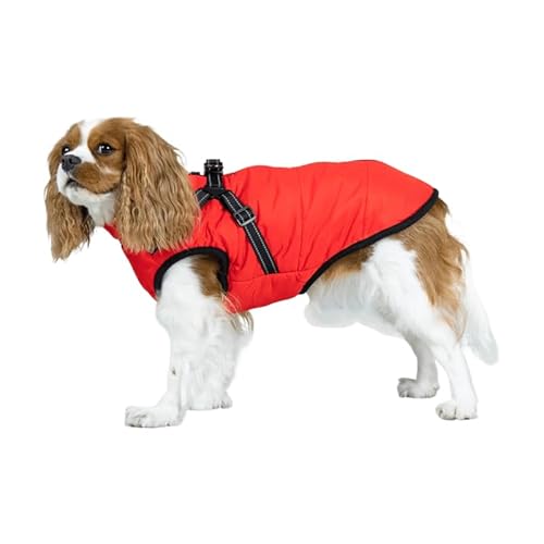 DoggyKings ™ 3 in 1 Jacke von PAOUWJXNC