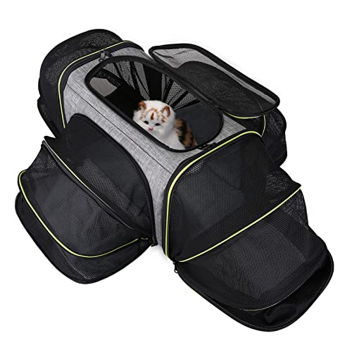 PAPABA Cat Bag Handheld Design Small Medium Cat Seat Travel Handtasche Outing Large Space Grau von PAPABA