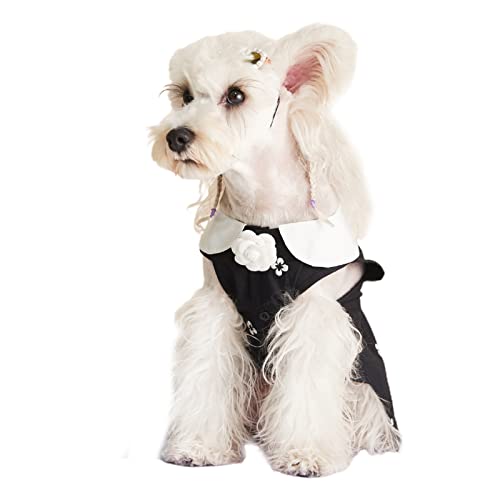 PAPABA Welpenkleid winddes Sommerkitty -Kleidung Hunde Outfits entzückend atmungsaktiv XL von PAPABA