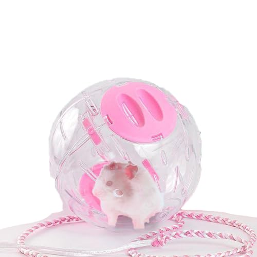 Hamsterball mit Leine, kleines Haustierspielzeug, Spielzeug für Kleintiere, Käfigzubehör für Rennmäuse, Maus, Laufen, Training, Hamster, Maus, Rennmaus Hamsterball mit Leine, kleines Haustierspielzeug, Spielzeug für Kleintiere, Käfigzubehör für Rennmäuse, Maus, Laufen, Training, Hamster, Maus, Rennmaus von PAPIEEED