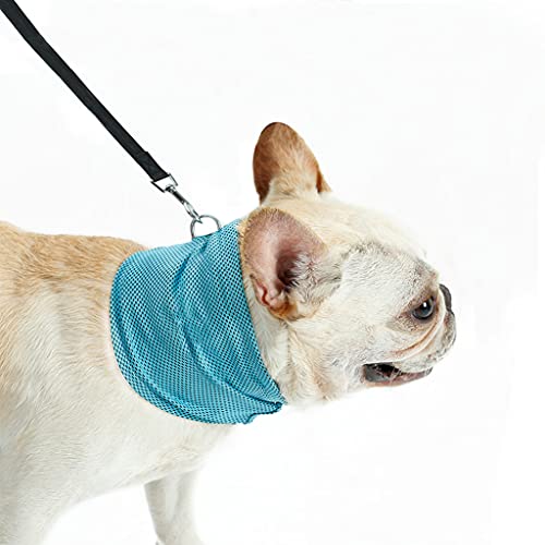 PAPIEEED Sommer-Hundehalsband, Spaziergang Hund Bandana Schal Hund Halswickel von PAPIEEED