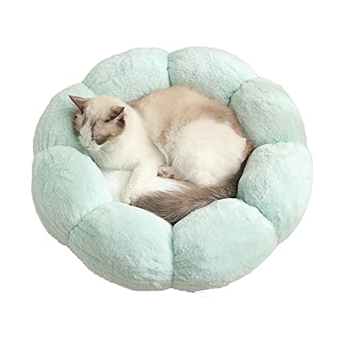 PAPIEEED Warmes Plüsch-Katzenbett, weiche Blume Kätzchen-Kissen Matte Niedlich Welpen Katze Kuscheltier für Winter Teppich für Welpen Kätzchen von PAPIEEED