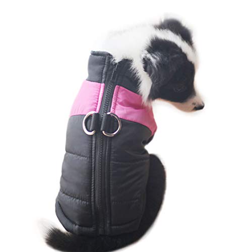 PAPIEEED Winter Haustier Hund Weste Kleidung Weich Hund Mantel Warm Haustier Jacke Bekleidung von PAPIEEED
