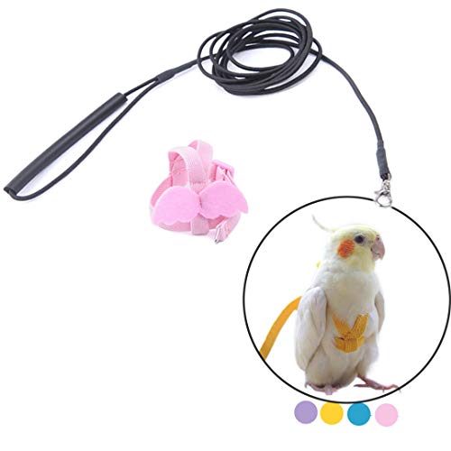 Vogelgeschirr-Leinen-Set zum Spazierengehen, langlebiges Outing-Gadget, verstellbares Fliegen-Trainingsseil, Traktionsseil für Papagei, Nymphensittiche, Sittiche, Lory, Sittiche, Sittiche, Sittiche Vogelgeschirr-Leinen-Set zum Spazierengehen, langlebiges Outing-Gadget, verstellbares Fliegen-Trainingsseil, Traktionsseil für Papagei, Nymphensittiche, Sittiche, Lory, Sittiche, Sittiche, Sittiche von PAPIEEED