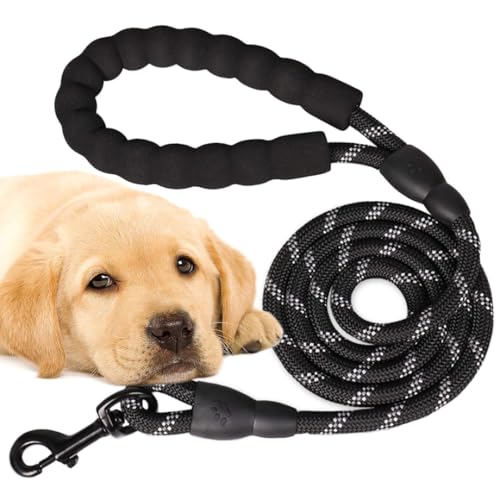 PARENCE.- Hundeleine 120 cm schwarz – Stabiles Seil mit gepolstertem Komfortgriff – Leine für kleine, mittlere und große Hunde – ideal zum Gassigehen, Training und zur Sicherheit von PARENCE