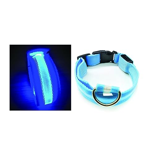 PARENCE.- Leuchthalsband für Hundegröße S, 3 Beleuchtungsmodi/LED-Halsband für Tiere mit Befestigungsschnalle und Clip-On-Verschluss - 40cm, blau PARENCE.- Leuchthalsband für Hundegröße S, 3 Beleuchtungsmodi/LED-Halsband für Tiere mit Befestigungsschnalle und Clip-On-Verschluss - 40cm, blau von PARENCE