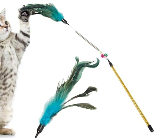 PARENCE. - Spielzeug für Katzen/Angelrute, interaktiv, mit Feder, Stimulation der Jagd und Unterhaltung für Ihr Haustier – Farbe zufällig PARENCE. - Spielzeug für Katzen/Angelrute, interaktiv, mit Feder, Stimulation der Jagd und Unterhaltung für Ihr Haustier – Farbe zufällig von PARENCE
