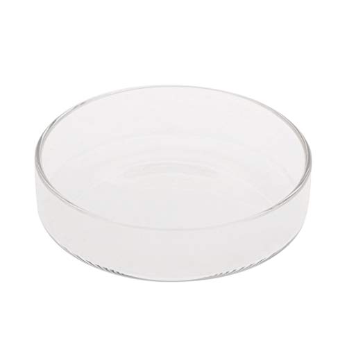 PASHFSA Garnelen Feeder Futternapf Aquarium Fische Reptilien Futternapf 3 9" 3 5" 3 2" 2 6" 2 4" PASHFSA Garnelen Feeder Futternapf Aquarium Fische Reptilien Futternapf 3 9" 3 5" 3 2" 2 6" 2 4" von PASHFSA
