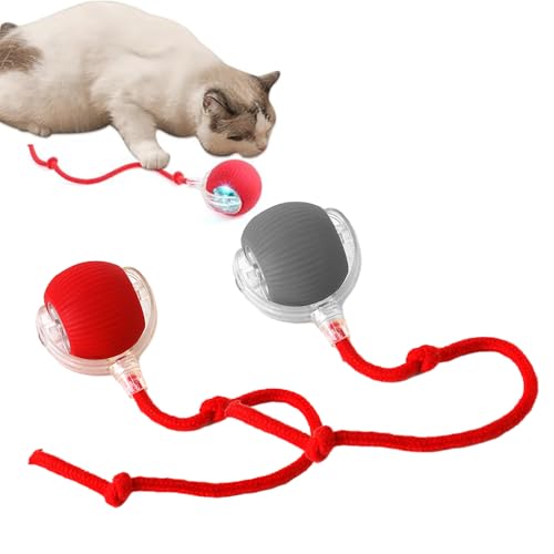 Elektrisches Katzenspielzeug Ball,Automatisches Katzenspielzeug,Katzenball Elektrisch mit Schnur,Interactive Cat Toy Ball,Interaktives Katzenspielzeug Ball,Katzenspielzeug Selbstbeschäftigung Ball Elektrisches Katzenspielzeug Ball,Automatisches Katzenspielzeug,Katzenball Elektrisch mit Schnur,Interactive Cat Toy Ball,Interaktives Katzenspielzeug Ball,Katzenspielzeug Selbstbeschäftigung Ball von PASLFC
