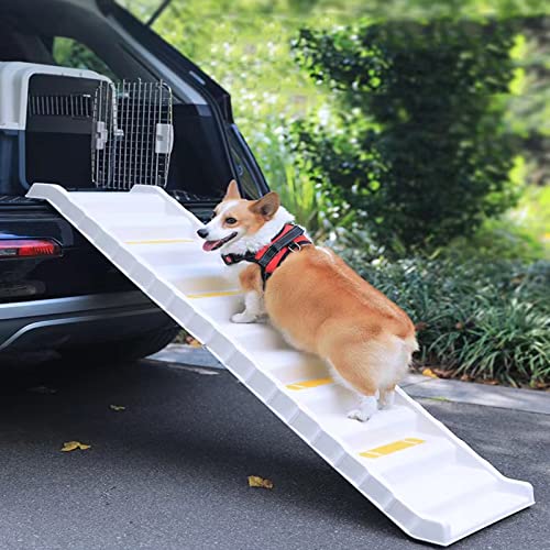 Falten Sie die Haustiertreppe, die Kofferraum-Hundekletterleiter nach dem EIN- und Aussteigen, geeignet für die Hundestufen Kleiner Hunde, tragbarer Hund (White) von PASPRT