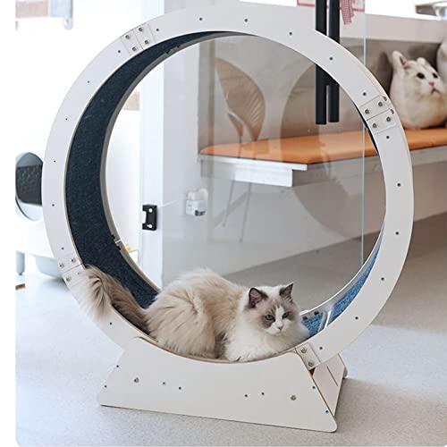 Katzenlaufband-Netz, rotes Haustier-Roller, stumm, Sportlaufrad, Katzen-Klettergerüst, einfache Installation, Sportzubehör (120cm) von PASPRT