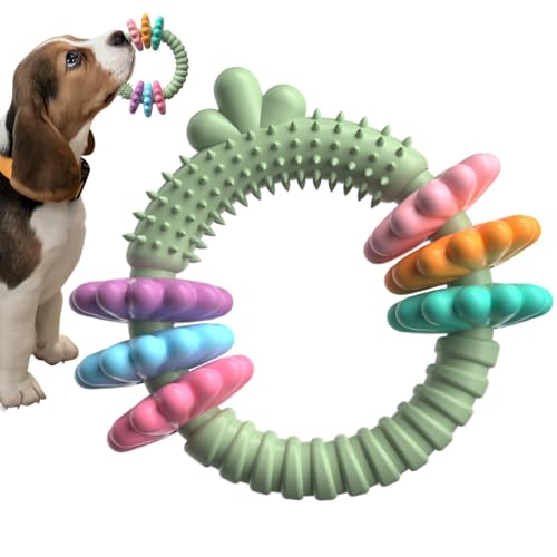 PASSI Beißring für Welpen, Kauringe für Hunde - Unzerstörbares Hundespielzeug | Gummi-Beißringe zum Werfen und Fangen von Hunden, unterstützen EIN gesundes Kauverhalten PASSI Beißring für Welpen, Kauringe für Hunde - Unzerstörbares Hundespielzeug | Gummi-Beißringe zum Werfen und Fangen von Hunden, unterstützen EIN gesundes Kauverhalten von PASSI