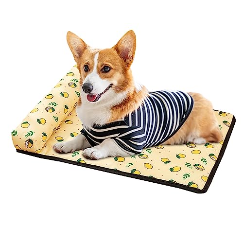 PASSI Kühlkissen für Hunde | Welpen-Kühlbett mit Kissen, atmungsaktive Sommer-Pads, wasserdicht, waschbar, mit rutschfester Unterseite, für kleine, mittelgroße und große Haustiere PASSI Kühlkissen für Hunde | Welpen-Kühlbett mit Kissen, atmungsaktive Sommer-Pads, wasserdicht, waschbar, mit rutschfester Unterseite, für kleine, mittelgroße und große Haustiere von PASSI