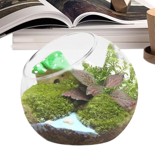 Pflanzgefäß, Terrarium, rund, Glas, Pflanzgefäß, Blumentopf, Luftpflanzenhalter, Terrarium, Pflanzschale, Vase, Heimdekoration, Mittelstück für Sukkulenten, Miniaturmoos, Luftpflanze Pflanzgefäß, Terrarium, rund, Glas, Pflanzgefäß, Blumentopf, Luftpflanzenhalter, Terrarium, Pflanzschale, Vase, Heimdekoration, Mittelstück für Sukkulenten, Miniaturmoos, Luftpflanze von PASSI